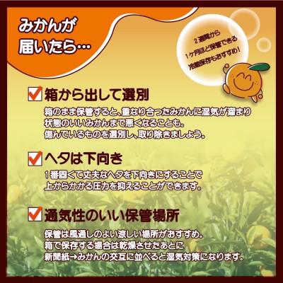 ふるさと納税 有田川町 有田みかん 8kg 2kg保証分 　サイズ混合 11月より順次発送 　訳ありみかん