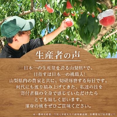 ふるさと納税 山梨市 採れたて新鮮!!完熟桃白桃系2kg以上(5〜8玉) ふるさと納税