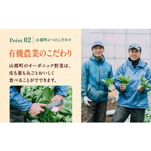 ふるさと納税 熊本県 山都町 有機野菜 オーガニック 8種 野菜セット 有機JAS認定 熊本県産 オーガニック野菜 山都町産 産地直送 熊本直送【株式会社 肥後やま…