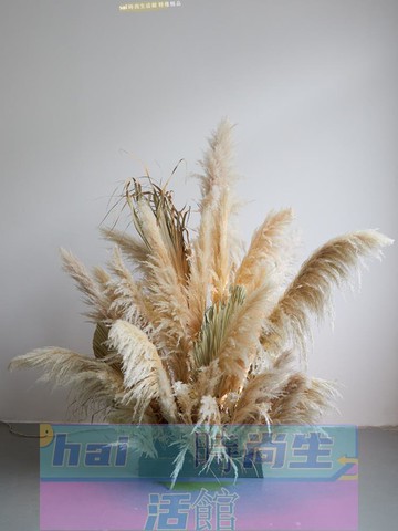 免運 可開發票 蘆葦草仿真花造景服裝店櫥窗裝飾干花擺件室內景觀假植物冬季美陳