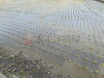 中路車站紅線第二行政園區預定區農地｜桃園市桃園區中路段
