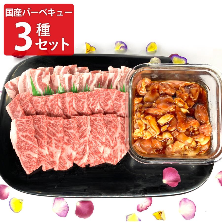 国産3種 バーベキューセット 焼き肉セット 牛肉 カルビ 豚肉 鶏モモ