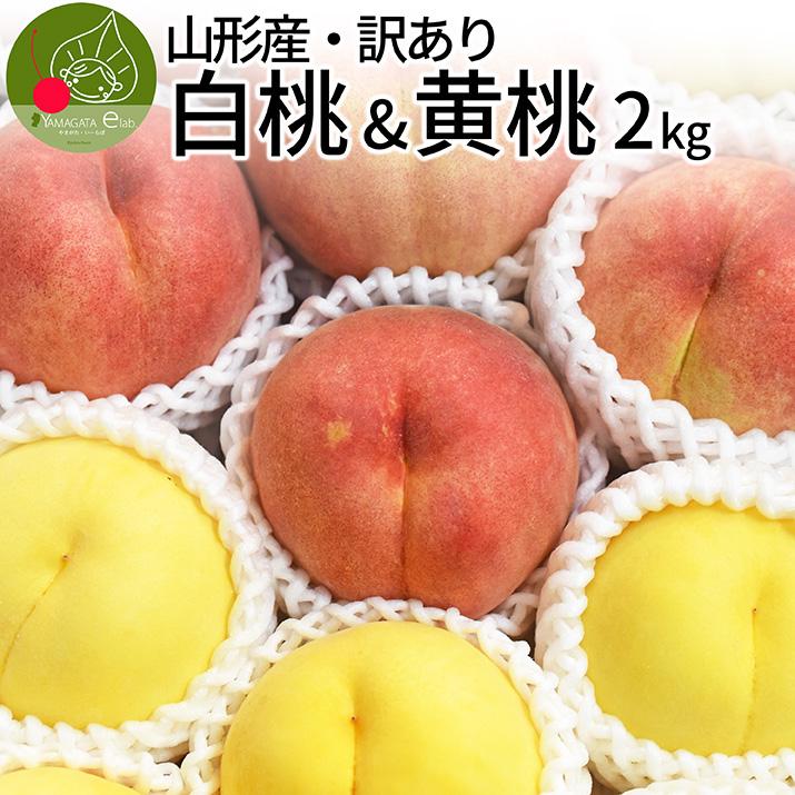 山形県産 白桃  黄桃 訳あり 約2kg 6-10玉 詰め合わせ クール便ちょっと訳ありの桃 固い桃 や 柔らかい桃 山形の美味しい桃 硬い桃 果物 フルーツ