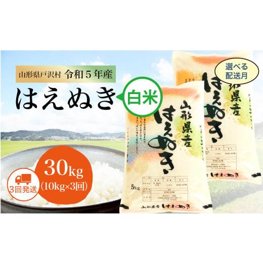 令和5年産 山形県戸沢村 厳選 はえぬき   30kg 定期便（10kg×1カ月ごと3回お届け） ＜配送時期指定可＞