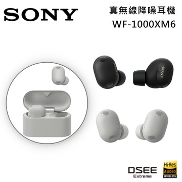【SONY 索尼】《預購》WF-1000XM6 主動式降噪 真無線入耳式耳機 台灣公司貨
