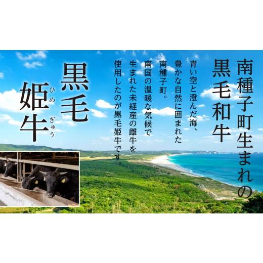 ふるさと納税 鹿児島県 南種子町 黒毛姫牛「ランプステーキ120g×5枚」A4未経産黒毛和牛