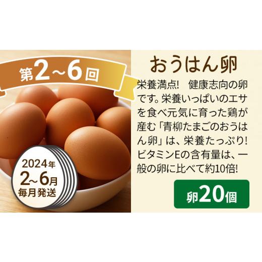 ふるさと納税 福岡県 古賀市 たまご前期定期便 6回発送（初回のみ醤油付き・たまご20個）20個×6回 合計120個 定期便 6ヶ月 卵 おうはん卵 青柳たまご 送料無…