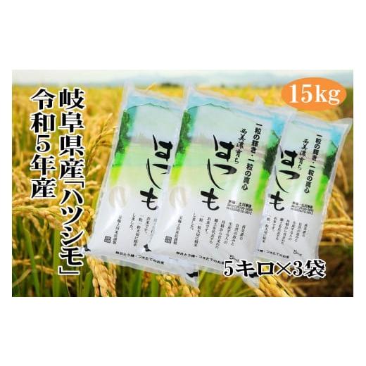 ふるさと納税 岐阜県 大垣市 令和5年岐阜県産「ハツシモ」　15Kg（5Kg×3袋）