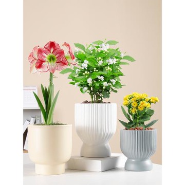 花盆陶瓷北歐簡約陶瓷盆家用發財樹郁金香蝴蝶蘭專用個性綠植花盆