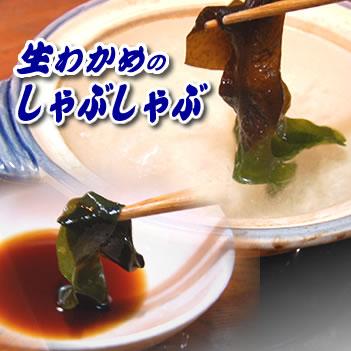 漁師の中村さんが育てた生わかめ（冷凍）約300g （浜坂産）国産　わかめですので、柔らかくて美味しいわかめです（おさしみわかめ、若布・ワカメ）