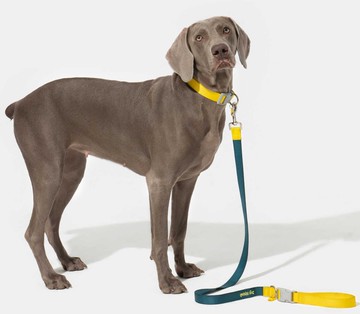 【牽引繩】大中小型犬可調節項圈