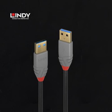 德國LINDY雙頭USB數據線mp4硬盤攝像散熱器聲卡A公對A公usb3.0線