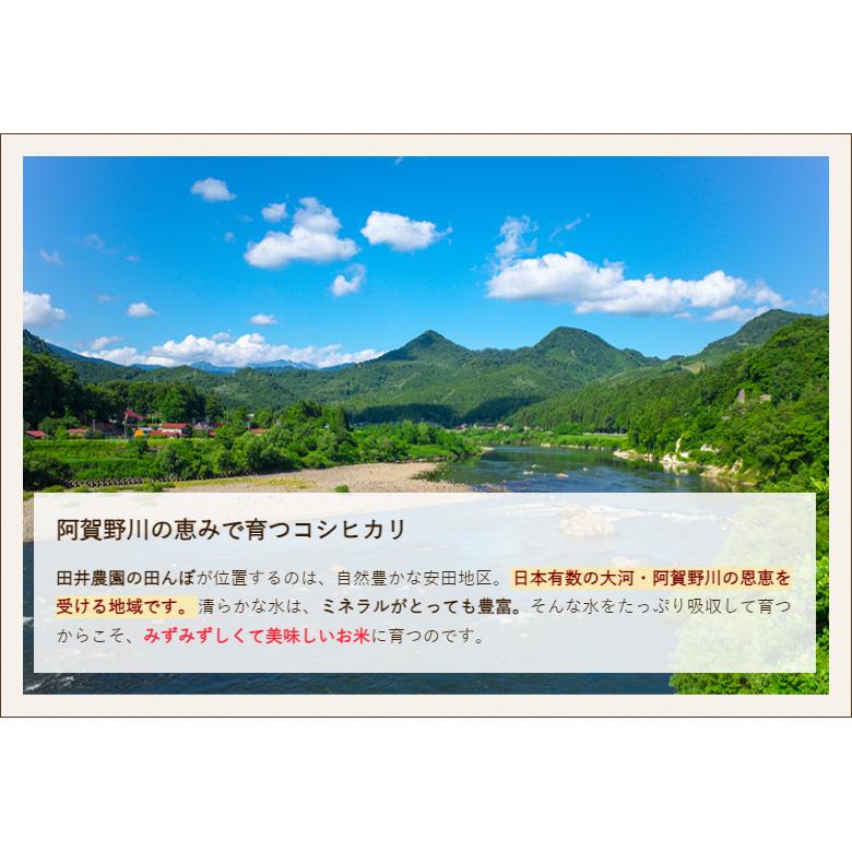 新潟県産コシヒカリ 精米10kg 田井農園 送料無料