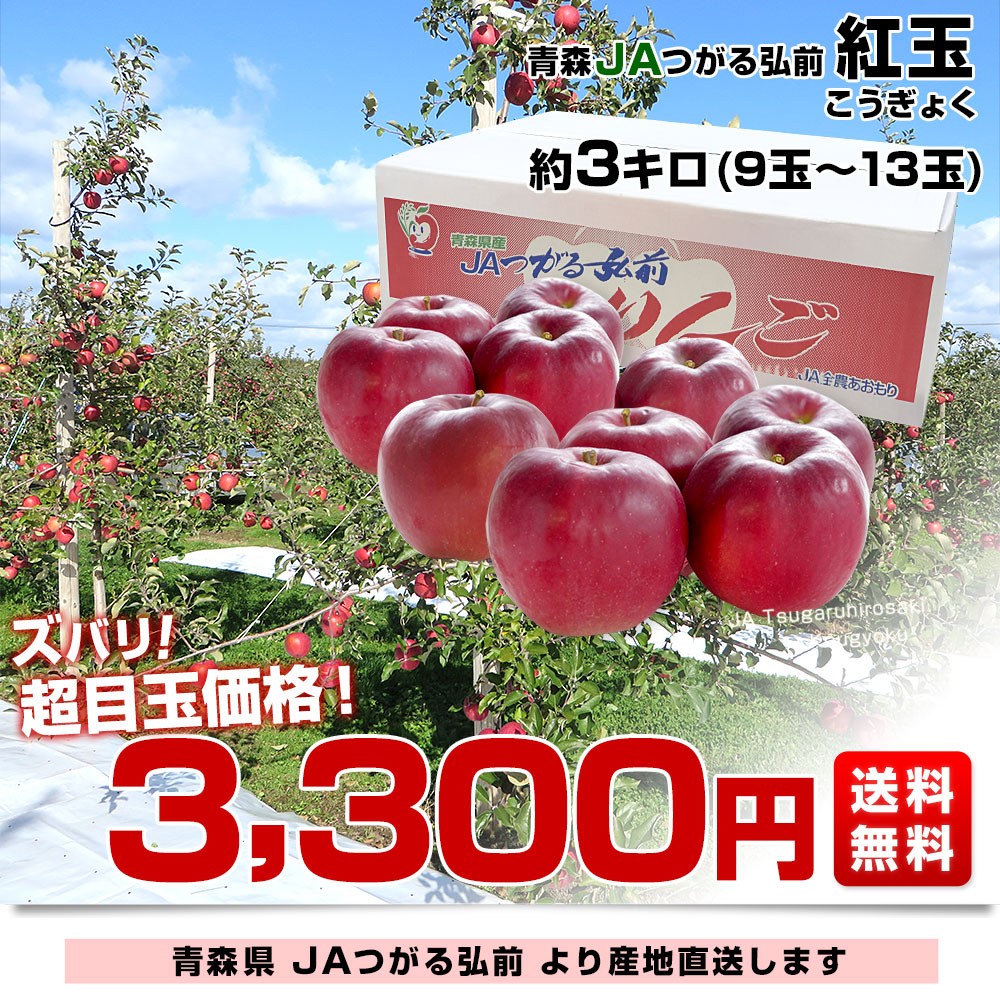青森県より産地直送 JAつがる弘前 紅玉 約3キロ (9玉から13玉) 送料無料 りんご リンゴ 林檎