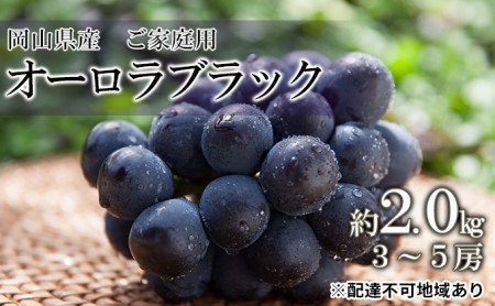 桃 2024年 先行予約 ご家庭用 オーロラブラック 約2.0kg（3～5房）ブドウ 葡萄  岡山県産 国産 フルーツ 果物