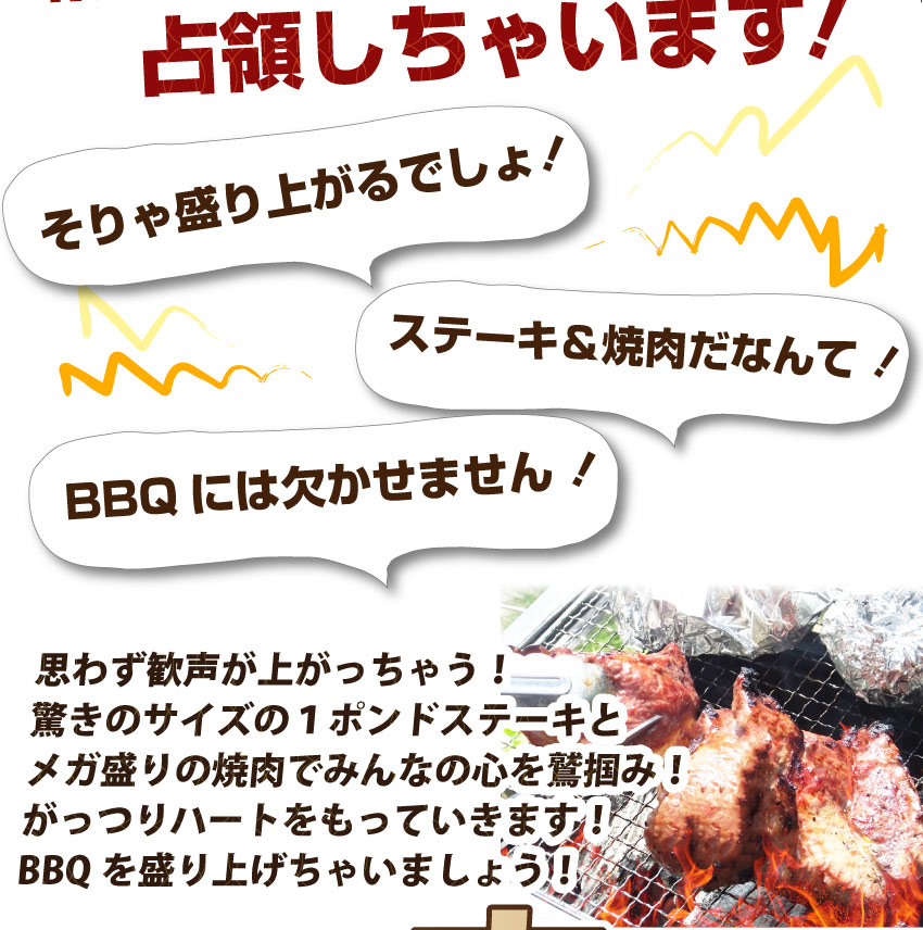 ステーキ ＆ 焼肉 ギガ盛り3kg超！ 肉祭り ハサミ・トング・トレー付き