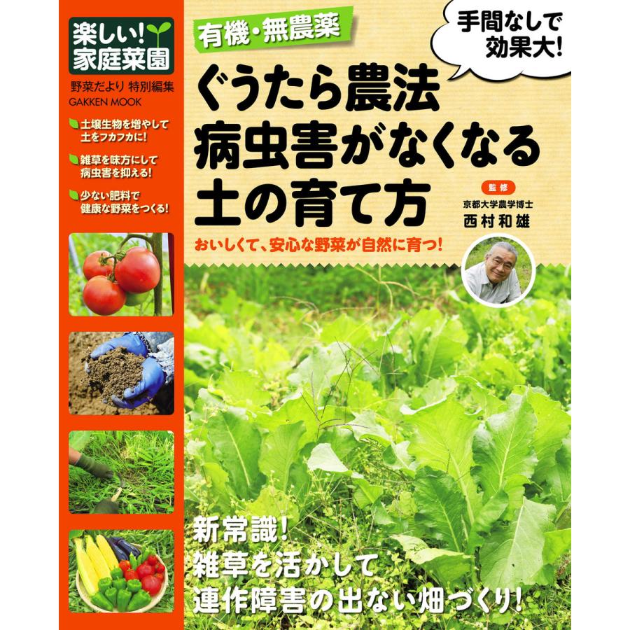 楽しい 家庭菜園 ぐうたら農法 病虫害がなくなる土の育て方