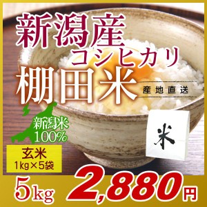 お米 5kg 玄米 棚田米 新潟産コシヒカリ (1kg×5袋) エコ梱包 令和5年産 新米   1kg小分け 米 高級銘柄米 新潟米 ブランド米 新潟 新潟県