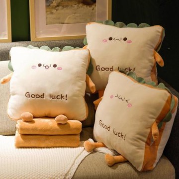 聯嚴珊瑚絨枕頭車用新款抱枕被子兩用女生暖手睡覺辦公室午睡