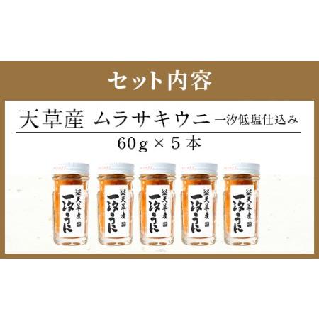 ふるさと納税 天草産ムラサキウニだらけ　豪華5本セット　(一汐低塩仕込み 60g) 熊本県上天草市