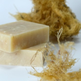 【沐澧mooni】石花菜 潔膚皂