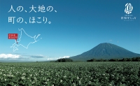 本マ印 熟成 じゃが薯 3種 食べ比べ セット じゃがいも チルド 600g