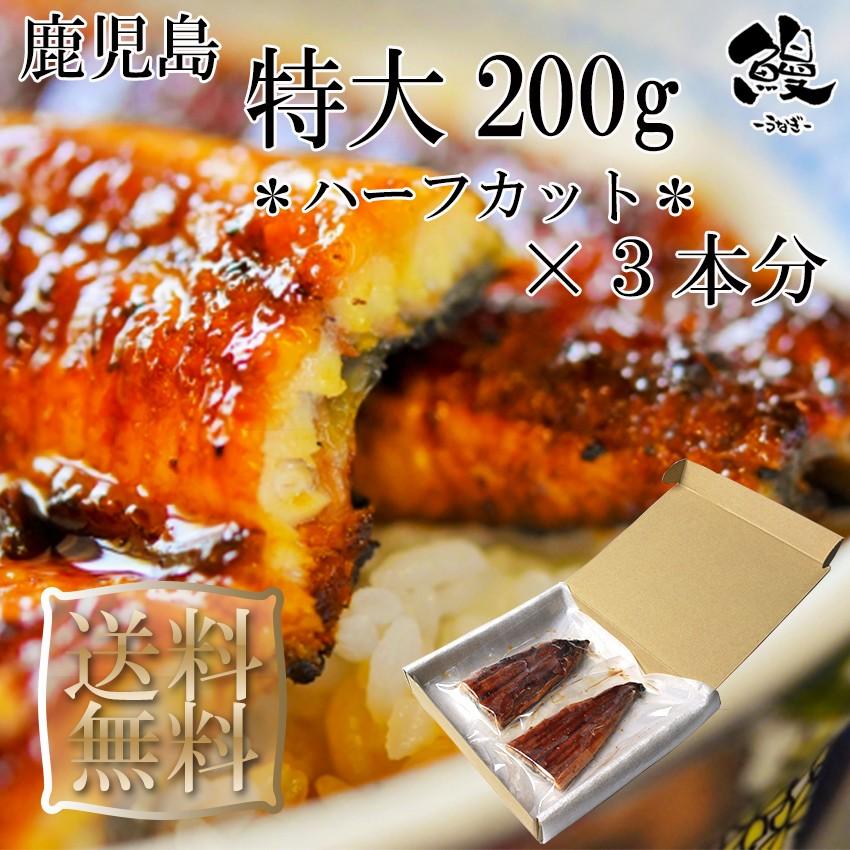 うなぎ蒲焼 ハーフカット 特大 1本200g×3本分 御歳暮 ギフト プレゼント 送料無料 鹿児島産 鰻