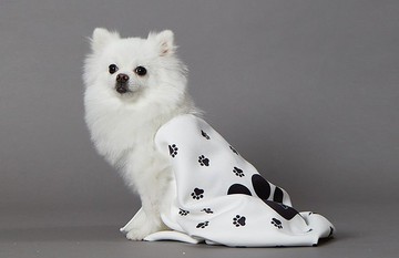 免睏【#免運 PET IN BEAUTY 韓國 超舒適 超細纖維浴巾】