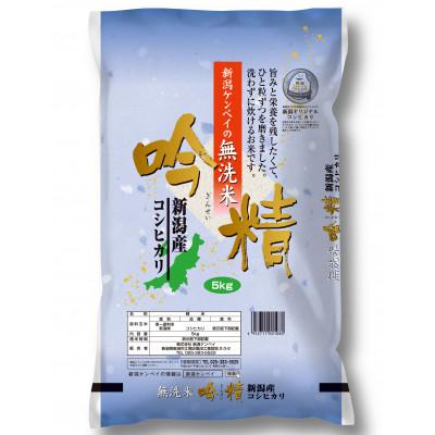 ふるさと納税 新潟県 無洗米吟精新潟県産コシヒカリ5kg全6回