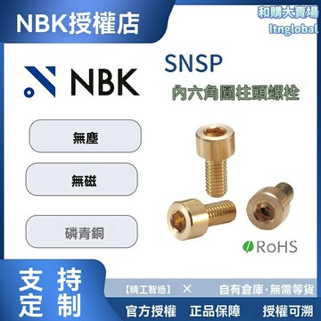 【防磁耐腐】磷青銅螺栓 半導體螺栓 精密螺栓 內六角螺栓 SNSP材質 防磁防鏽 高精度 適用於半導體設備 真空環境專用