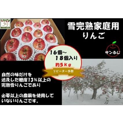 ふるさと納税 1〜2月発送 訳あり 雪完熟 家庭用 サンふじ 約5kg  青森県弘前市