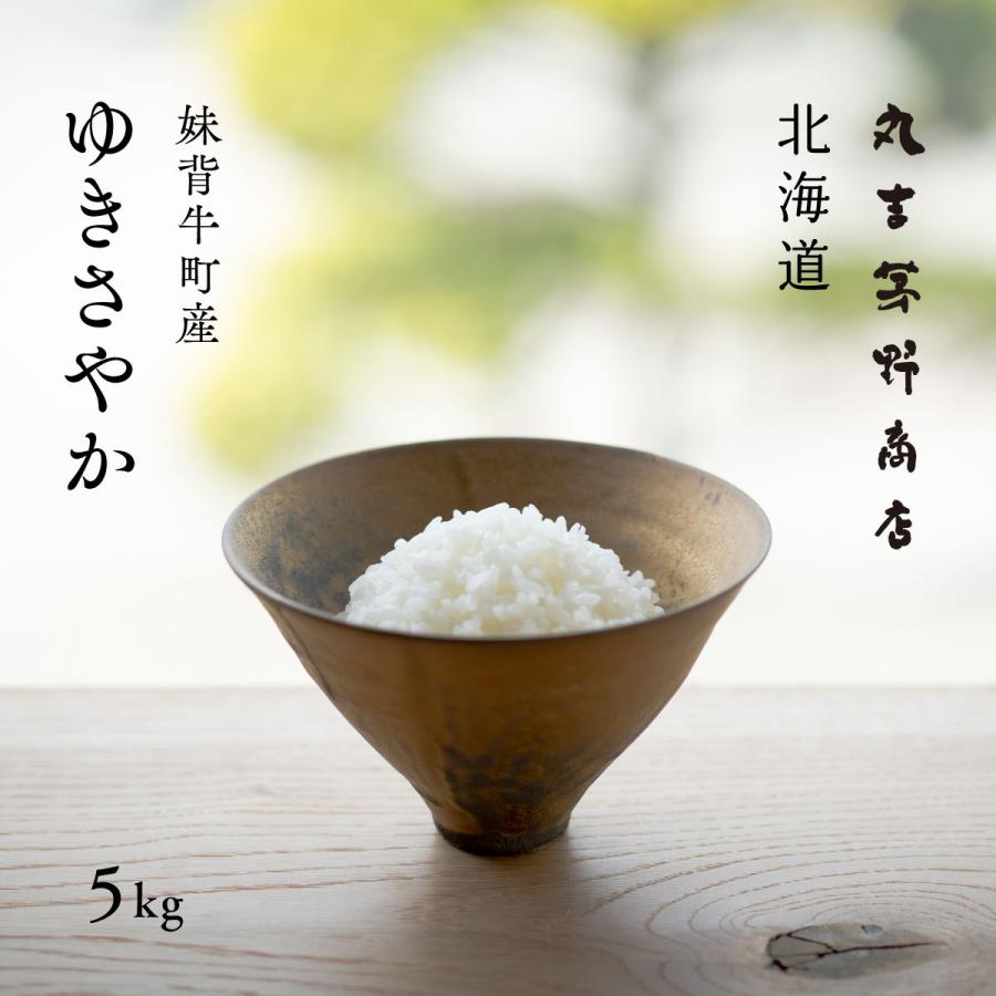 新米 産地限定 ゆきさやか 5kg 北海道産 白米 令和5年産 米 お米 送料無料 真空パックに変更可