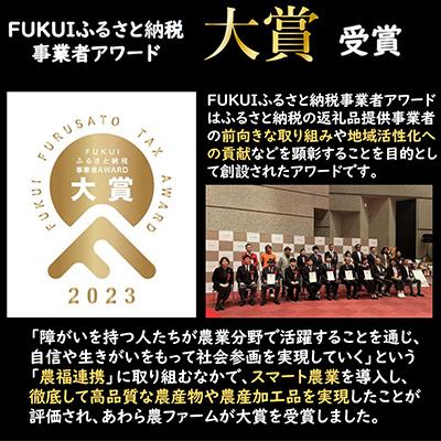 ふるさと納税 あわら市 「いっちょらい」 福井県産 コシヒカリ 精米 5kg 全12回