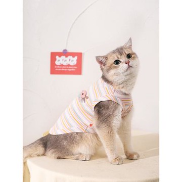 貓咪衣服夏季寵物春秋小貓薄款防掉毛銀漸層英短布偶貓貓幼貓背心