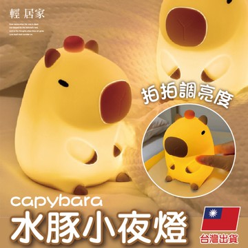 水豚小夜燈   卡皮巴拉 造型小夜燈 交換禮物 聖誕禮物 耶誕禮物-輕居家8820