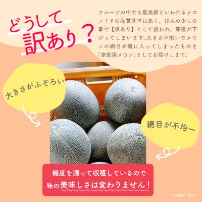 ふるさと納税 五所川原市 メロン7.5kg程度(赤肉・青肉セット)(4〜8玉)青森産