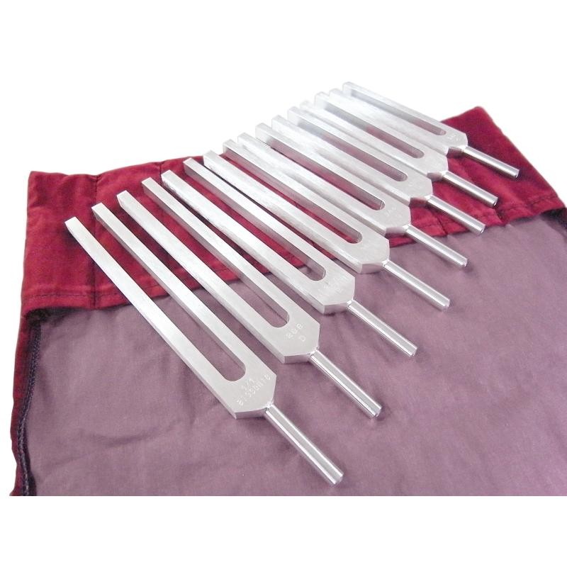 ソーラーハーモニックス最高峰BIOSONICS社製サウンドヒーリング  