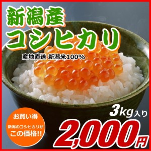 コシヒカリ 2000円分（3キロ） 新米 新潟米 お米 新潟産 産地直送 米 コメ お歳暮 自宅用 ギフト 贈答 贈り物