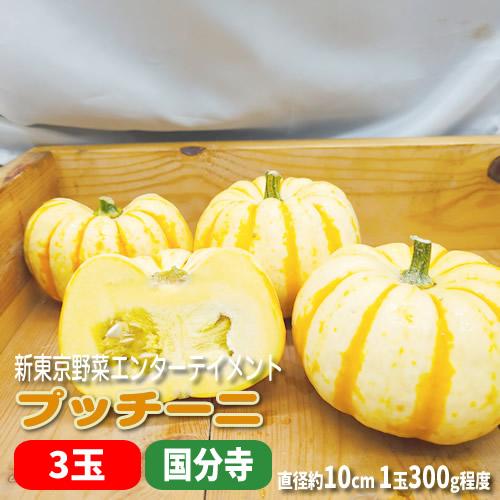 ミニかぼちゃ プッチーニ ３玉セット 手のひらサイズの鮮やかオレンジのかぼちゃ  福岡県産