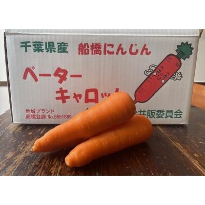 ふるさと納税 船橋にんじんポタージュ 3袋セット（180ｇ×3袋）(K63) 千葉県船橋市