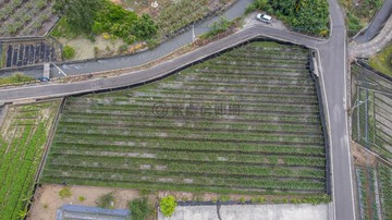 美濃吉東｜特定農業區｜雙面臨路優質農地｜高雄市美濃區吉頂