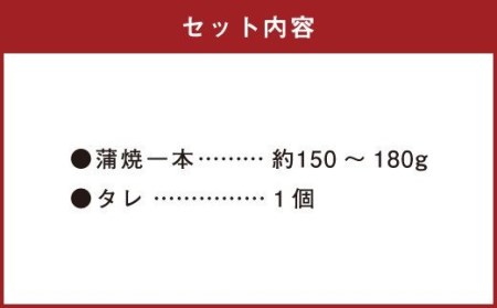 鹿児島産 うなぎ の 蒲焼き 1本 約150～180g 老舗130年の味