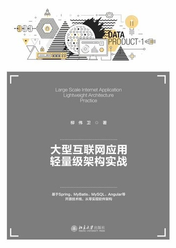 【電子書】大型互联网应用轻量级架构实战