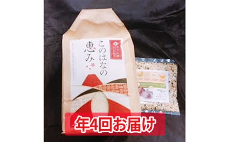 年4回定期便！特別栽培米5kgとおためし八穀米◇