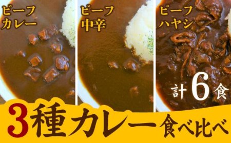 カレー・ハヤシ 3種 食べ比べ 計6個 厳選 牛肉 ビーフ 旨味とコク