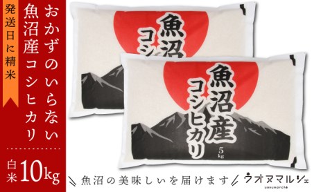 新米 令和５年産 おかずのいらない 魚沼産コシヒカリ　白米１０ｋｇ