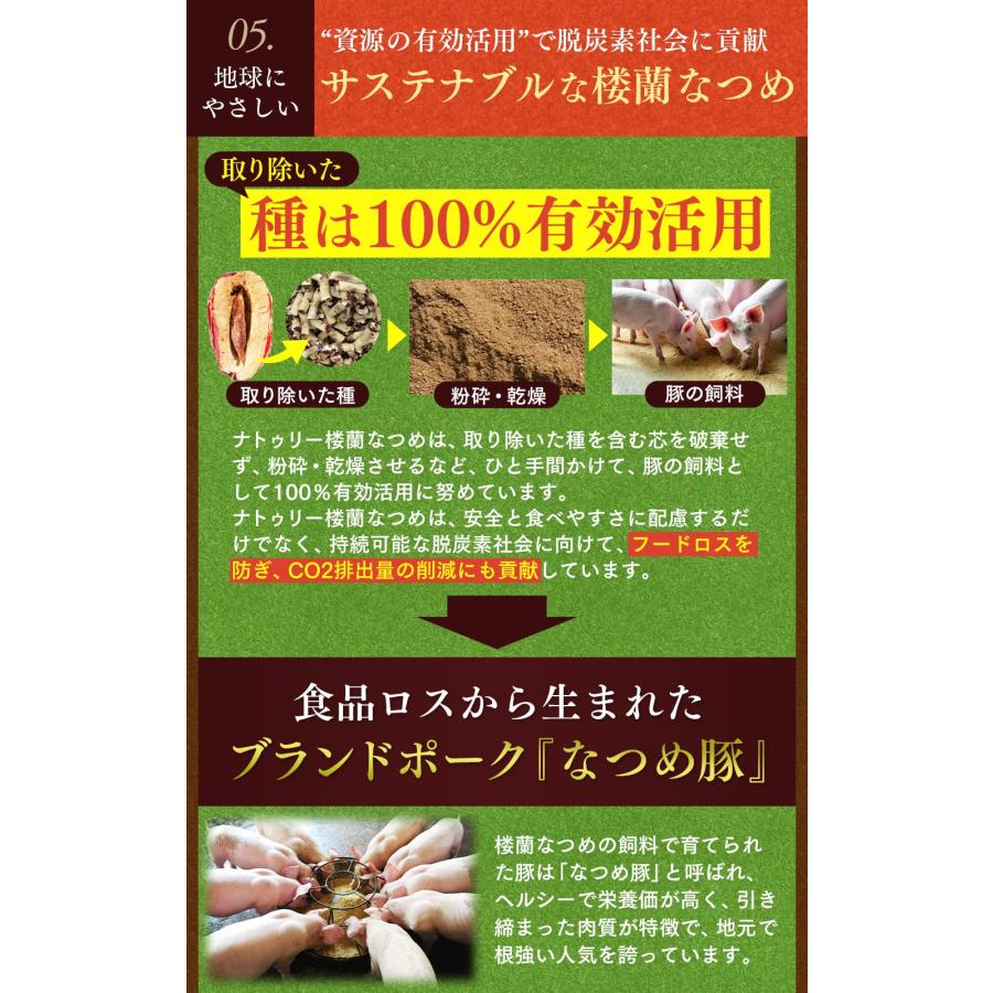 なつめ ナトゥリー 楼蘭なつめ ドライ あんしん種なし 250g ナツメ ドライフルーツ 棗