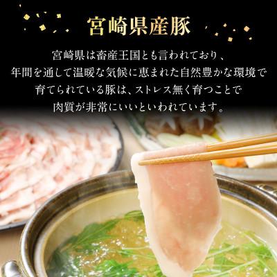 ふるさと納税 延岡市 宮崎県産豚ロースしゃぶ 500g×3 計1.5kg(延岡市)