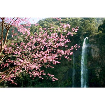 桃竹旅遊｜旅展折$300｜山上人家霧中仙境清泉部落.中和烘爐地.石門水庫福華渡假飯店二日｜中部出發_26TN112U53