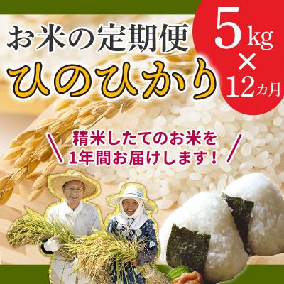 ふるさと納税 南九州市 鹿児島県産米ひのひかり5kg定期便